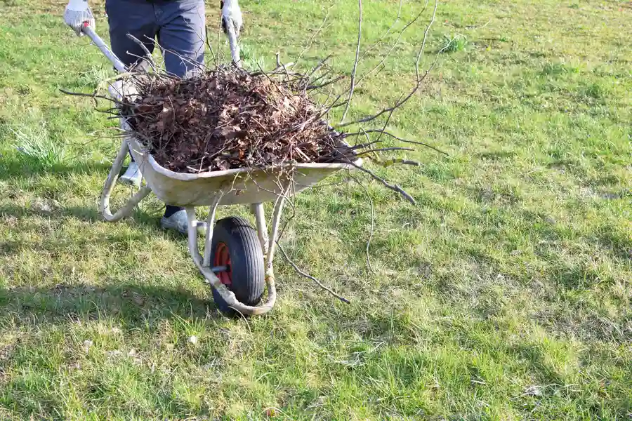 How Yard Cleanup Services Help Maintain A Safe Outdoor Space Union City, IN
