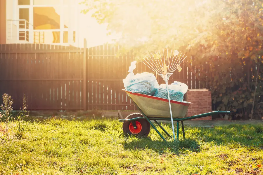 How Yard Cleanup Services Help Maintain A Safe Outdoor Space in Union City, IN