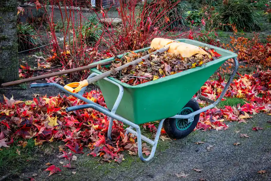 The Environmental Impact Of Yard Cleanup And Junk Removal Union City, IN The Environmental Impact Of Yard Cleanup And Junk Removal Union City, IN